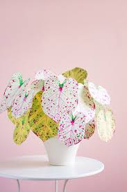 How To Make Paper Plants A Diy Paper Caladium Paper Plants Diy Diy Plants Paper Plants