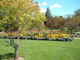 Get your team aligned with all the tools you need on one secure, reliable video platform. Sep 2004 Minneapolis Minnesota Lake Harriet Rose Garden Mapio Net