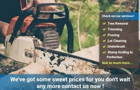 San antonio tree trimming services. Hernandez Tree Service 12486 Fm 1485 Conroe Tx 77306 Yp Com
