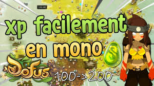Dofus Comment Xp Rapidement En Monocompte Divers Zones Simple Efficace Youtube