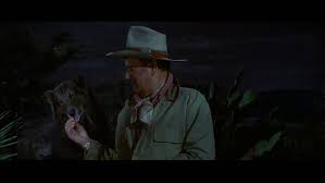 A 1971 western movie starring john wayne, richard boone, and maureen o'hara. Film Big Jake The House Of Two Bows é›™å¯¶ä¹‹å±‹
