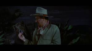 A 1971 western movie starring john wayne, richard boone, and maureen o'hara. Film Big Jake The House Of Two Bows é›™å¯¶ä¹‹å±‹