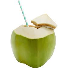 Image result for coconut