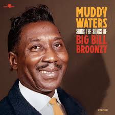 Muddy Waters