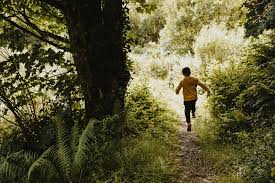 Check spelling or type a new query. Colby Woodland Gardens A Post Lockdown Visit Our Beautiful Adventure Photography