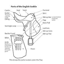 Diagram Explaining Parts Of An English Saddle English Horse Tack English Saddle Horse Tack