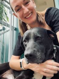 Reliable house and pet sitter available in Darwin and surrounds