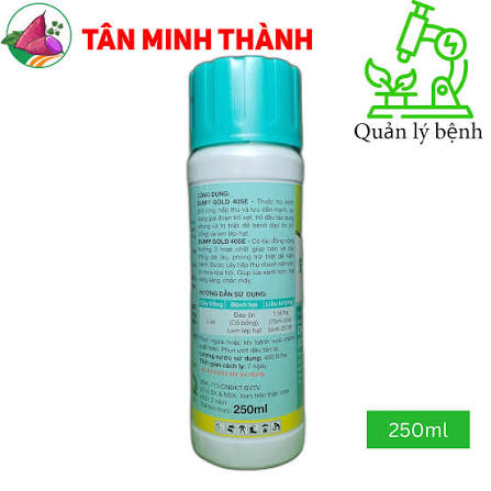 Bump gold 40SE