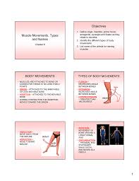 These muscle names are derived from latin. Muscle Movement Types And Names