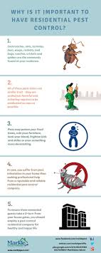 Bill's pest and termite control is awesome! 14 Inforgraphic Termite And Pest Control Services Ideas Pest Control Pest Control Services Pests