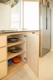 Davies Drive Plywood Kitchen Budget Kitchen Remodel Farmhouse Kitchen Cabinets