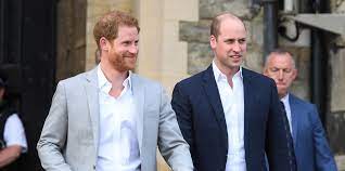 Prince Harry And Prince William To Split Princess Diana Fund