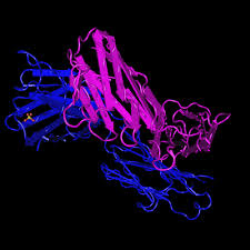 Find structures of substances in scifinder and save them to open later in chemdraw. 6cnr Aducanumab Apo Fab