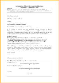 Letter Sample Claim Salary Email Authorization United Airlines Complaint Resolved Lettering Letter Sample The Unit