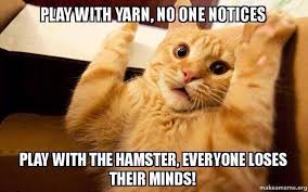 All the images collection is unique and special. 33 Funny Cat Memes That Never Fail To Make Us Lol I Can Has Cheezburger