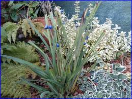 Parenthese Au Jardin Jardins Petits Jardins Plante