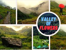 Valley of flowers national park is an indian national park since 1982, nestled high in the west himalayas. Valley Of Flowers From Delhi Tour Of Valley Of Flowers From Delhi