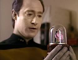 Star Trek: The Next Generation Rewatch: "The Survivors"