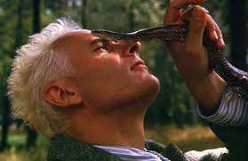 Tigerstreifenbaby wartet auf Tarzan