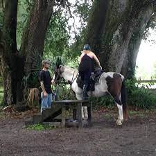 For a relaxing and fun experience, call us today! Mounting Steps Picture Of Cactus Jack S Trail Rides Ocala Tripadvisor