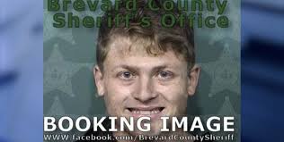 Salesman accused of stealing dog from Florida home, attempting to send it  to shelter