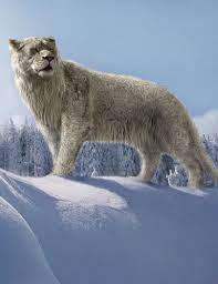 Cave Lion Prehistoric Animals Extinct Animals Short Faced Bear