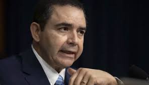 DNC chair candidate makes his case as Democrats look to rebuild after 2024  loss