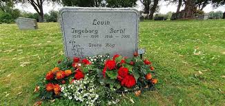 Image result for Gustav Levin