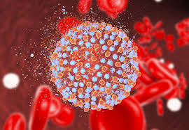 Hepatitis is an inflammation of the liver often caused by a virus. How Can We Accelerate The Elimination Of Viral Hepatitis Imperial News Imperial College London