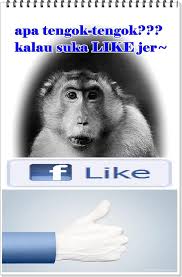 Sebabnya kami cerita pasal semua bende yang ada kat atas muka bumi ni, pasal apa saja yang terlintas. Apa Tengok Tengok Kalau Suka Like Jer Community Facebook