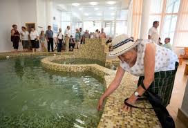 Anunt suspendare acordare bilete de tratament. Bilete De Tratament Pentru Pensionari Gazeta De Sud