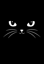 Cute Black Cat Graphic Hoodie By Badbugs Art Unisex Zip Tri Black Medium Back Print Zip In 2020 Black Cat Art Cat Posters Cute Black Cats