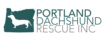 If you don't already have one, please, please consider adoption! Pets For Adoption At Portland Dachshund Rescue Inc In Portland Or Petfinder