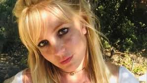 Britney Spears Denies 'Not True' Meth Claims