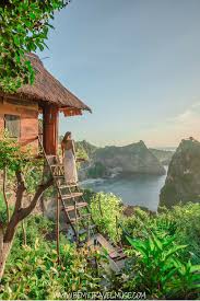 The Rumah Pohon Treehouse Is It Worth It Travel Travel Photos Bali Travel