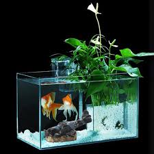 Check spelling or type a new query. Fish Tank Aquarium Decor Aircraft Ruins Ornament Reptile Fish Hideout Cave Decoration Fish Tank Aquarium Resin Decoration 2020 Decorations Aliexpress