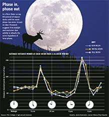 25 Problem Solving Free Deer Moon Phase Chart