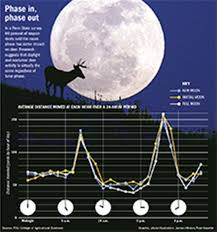 46 Detailed Lunar Chart For Deer Hunting