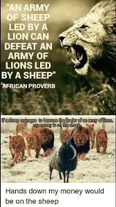 Lions Vs Sheeps Funny Memes Happy Memes Memes