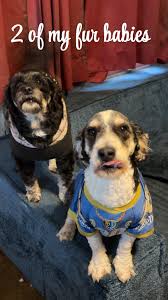 Find Your Flavor with the Iconic Debbie Snack Brand