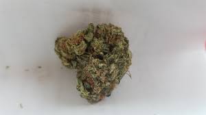 The apple fritter strain is the incredibly powerful blend of sour apple and animal cookies. Sour Apple Aka Sour Apple Diesel Marijuana Strain Information Leafly