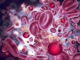 I have no idea what it could be but am how are you doing aneko (and tul24)? Breakthrough In Blood Test For Cancer Prognosis 2021 06 03 Bioworld