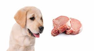 Check spelling or type a new query. Izlesik Can Dogs Eat Pork And Beans Safely Can Dogs Eat Beans What To Know About Dogs And Beans Adding Seasonings And Spice Rubs While Delicious For Humans Can Be