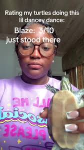 How to Do Turtle Dance Wuwa