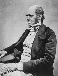 Video Scientist Claims To Show What Happens To Souls After Death Charles Darwin Darwin Evolution