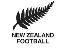 Bonjour, la pediatre m a parlé d un vaccin pour une meningitz (je ne sais plus le nom, mais c est la plus courante en france), a faire au 6 mois. Footballeur Neo Zelandais De L Annee Les Meilleurs Joueurs De L Histoire Du Football