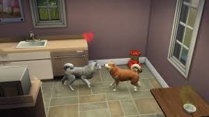We cherish them as entertaining companions, and we love them deeply for the joy they bring to our lives. Breeding Pets The Sims 4 Wiki Guide Ign