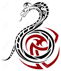 I walked in with my husband to get his first tattoo, after hearing about king cobra tattoo form other friends and read the reviews on yelp. Snake Cobra In The Form Of A Tribal Tattoo Royalty Free Cliparts Vectors And Stock Illustration Image 15528517