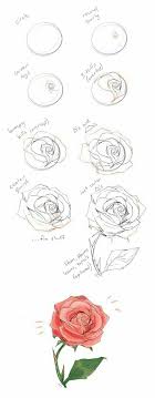 Anleitung Zum Zeichnen Einer Rose Painting N Drawing Trends Rose Malen Blumen Zeichnen Zeichnung