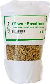 Image result for Treculia